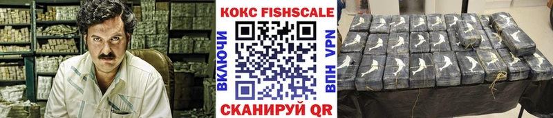 Купить закладки  Славгород  COCAIN 97% 