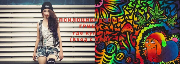 СК Сафоново